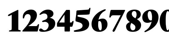 Q650 Roman Xbold Regular Font, Number Fonts