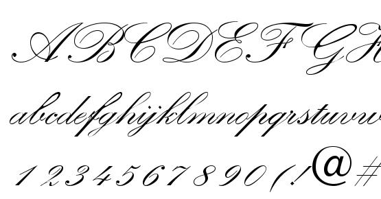 Quillscriptssk bold Font Download Free / LegionFonts