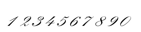 Quillscriptssk bold Font, Number Fonts