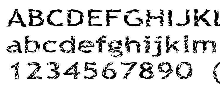 glyphs Quinquef font, сharacters Quinquef font, symbols Quinquef font, character map Quinquef font, preview Quinquef font, abc Quinquef font, Quinquef font