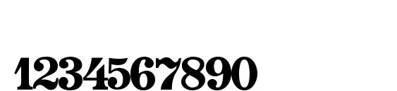 Quintet SSi Font, Number Fonts