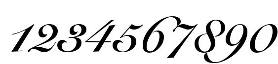 R791 Script Bold Font, Number Fonts