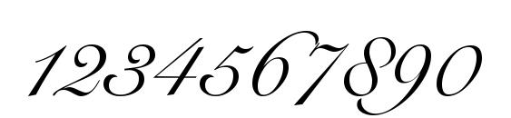 R791 Script Regular Font, Number Fonts