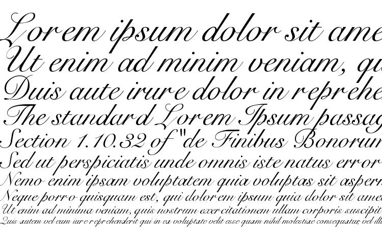 specimens R791 Script Regular font, sample R791 Script Regular font, an example of writing R791 Script Regular font, review R791 Script Regular font, preview R791 Script Regular font, R791 Script Regular font