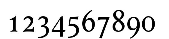 Ragnar SC Font, Number Fonts