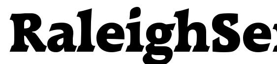 RaleighSerial Heavy Regular Font