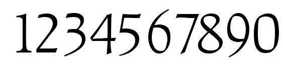 RaleighSerial Light Regular Font, Number Fonts