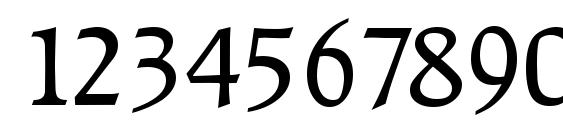 RaleighSerial Regular Font, Number Fonts