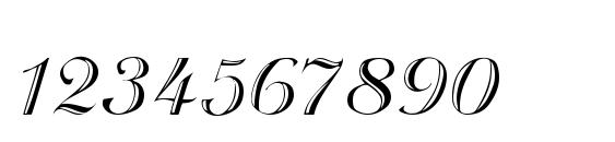 Rechtman Script Medium Font, Number Fonts