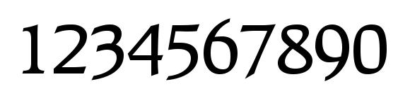Recognita Book SSi Medium Font, Number Fonts