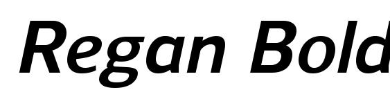 Regan BoldItalic Font, PC Fonts