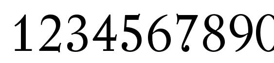 Regent Pro Font, Number Fonts