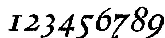 Regula Italic Font, Number Fonts