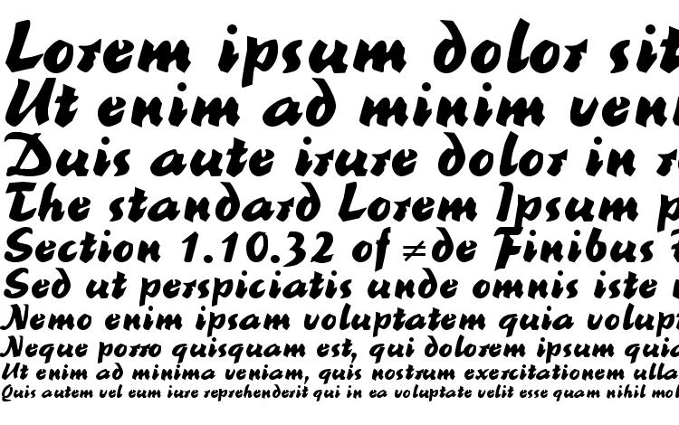 specimens ReinerBlack DB font, sample ReinerBlack DB font, an example of writing ReinerBlack DB font, review ReinerBlack DB font, preview ReinerBlack DB font, ReinerBlack DB font