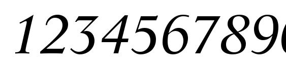 Resource SSi Italic Font, Number Fonts