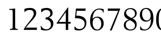 Revive 565 Font, Number Fonts