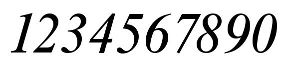RiccioneSerial Italic Font, Number Fonts