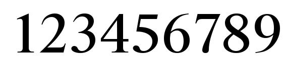 RiccioneSerial Regular Font, Number Fonts