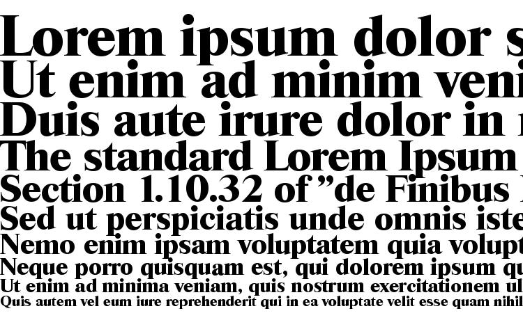 specimens RiccioneSerial Xbold Regular font, sample RiccioneSerial Xbold Regular font, an example of writing RiccioneSerial Xbold Regular font, review RiccioneSerial Xbold Regular font, preview RiccioneSerial Xbold Regular font, RiccioneSerial Xbold Regular font