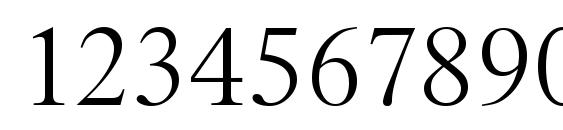 RiccioneSerial Xlight Regular Font, Number Fonts