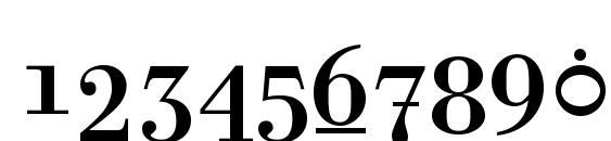 Rina Regular Font, Number Fonts