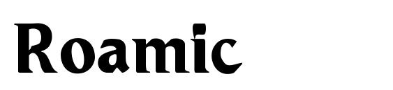 Roamic font, free Roamic font, preview Roamic font