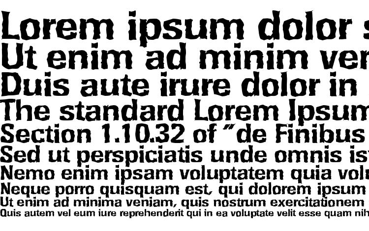 specimens RochesterRandom Xbold Regular font, sample RochesterRandom Xbold Regular font, an example of writing RochesterRandom Xbold Regular font, review RochesterRandom Xbold Regular font, preview RochesterRandom Xbold Regular font, RochesterRandom Xbold Regular font