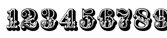 Rococo Initial Font, Number Fonts