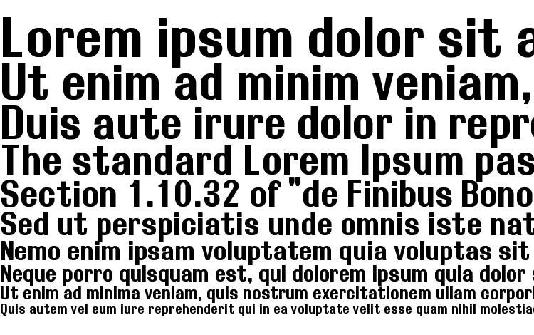 specimens Rollout bold font, sample Rollout bold font, an example of writing Rollout bold font, review Rollout bold font, preview Rollout bold font, Rollout bold font