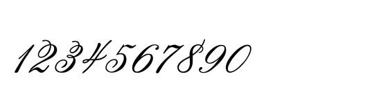 Rosamundatwoc Font, Number Fonts