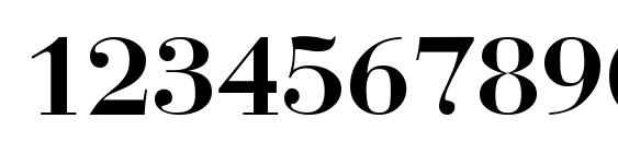 Rothni Font, Number Fonts