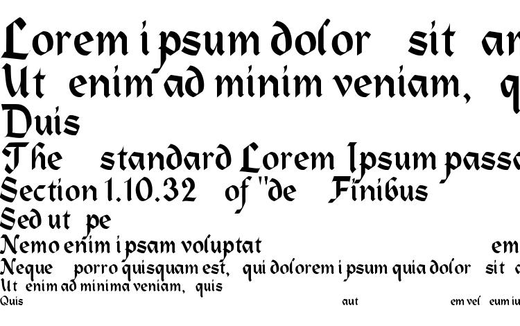 specimens RSHeidleberg font, sample RSHeidleberg font, an example of writing RSHeidleberg font, review RSHeidleberg font, preview RSHeidleberg font, RSHeidleberg font