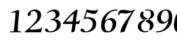 RSJacksonville Font, Number Fonts