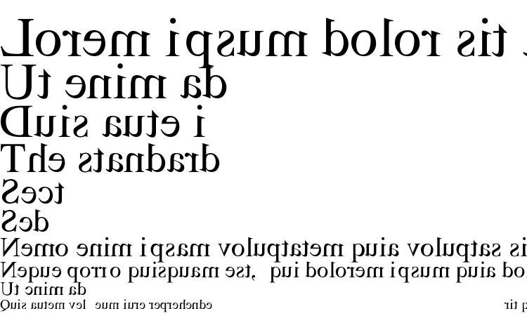 specimens RSTimesMirror font, sample RSTimesMirror font, an example of writing RSTimesMirror font, review RSTimesMirror font, preview RSTimesMirror font, RSTimesMirror font