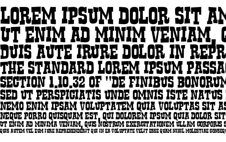 specimens Rustler font, sample Rustler font, an example of writing Rustler font, review Rustler font, preview Rustler font, Rustler font