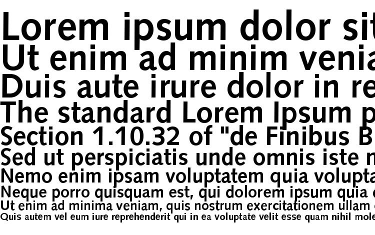 specimens S841 Sans Bold font, sample S841 Sans Bold font, an example of writing S841 Sans Bold font, review S841 Sans Bold font, preview S841 Sans Bold font, S841 Sans Bold font