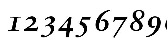 Sabon Bold Italic Oldstyle Figures Font, Number Fonts