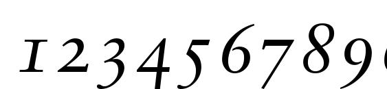 Sabon Italic Oldstyle Figures Font, Number Fonts