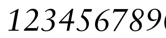 Sabon LT Italic Font, Number Fonts