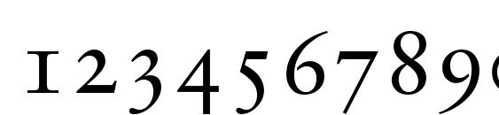 Sabon Roman Oldstyle Figures Font, Number Fonts