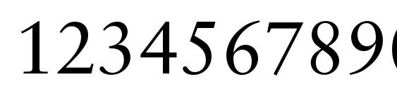 Sabonc Font, Number Fonts