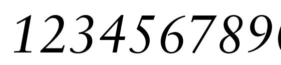 SabonLTStd Italic Font, Number Fonts
