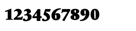 SabonNext LT Black Alternate Font, Number Fonts