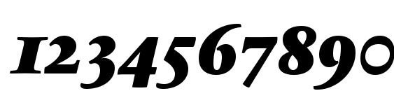 SabonNext LT Black Italic Old Style Figures Font, Number Fonts