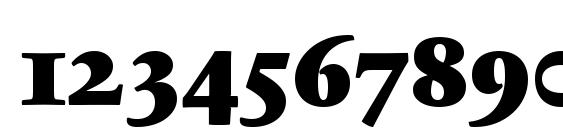 SabonNext LT Black Old Style Figures Font, Number Fonts