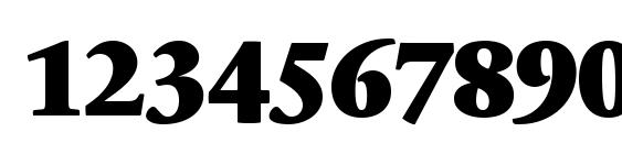 SabonNext LT Black Font, Number Fonts