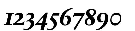 SabonNext LT Bold Italic Old Style Figures Font, Number Fonts