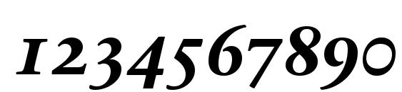 SabonNext LT Bold Italic Small Caps Font, Number Fonts