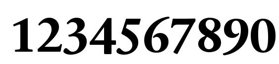 SabonNext LT Bold Font, Number Fonts