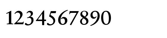 SabonNext LT Display Alternate Font, Number Fonts